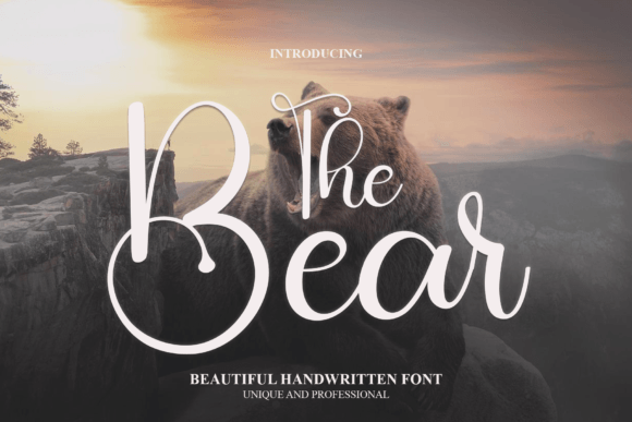 The Bear Font Poster 1