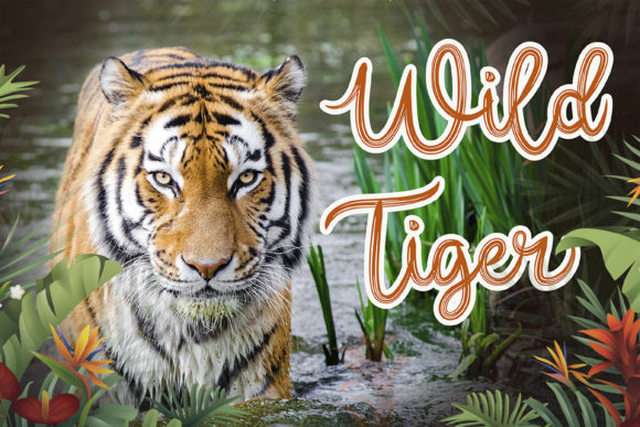 The Jungle Font Poster 6