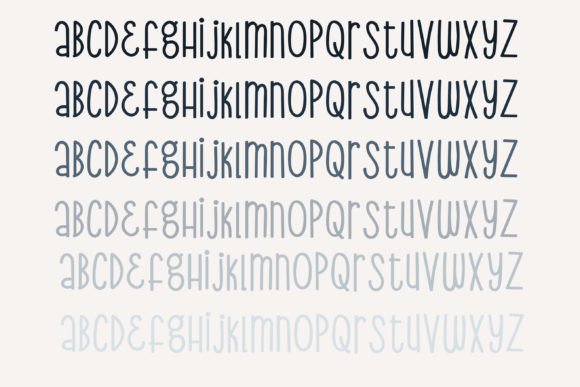 The Principal Font Poster 5