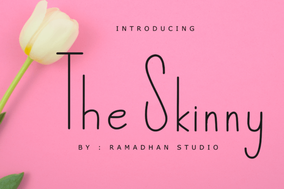 The Skinny Font Poster 1
