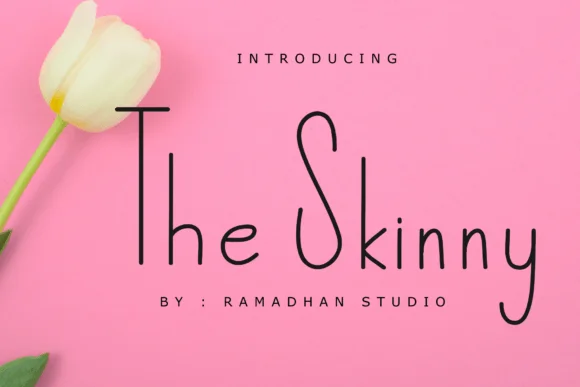 The Skinny Font Poster 1