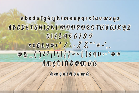 The Summer Font Poster 6