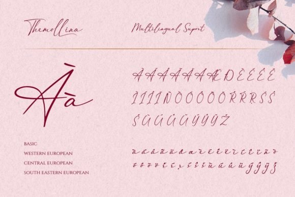 Themollina Font Poster 10