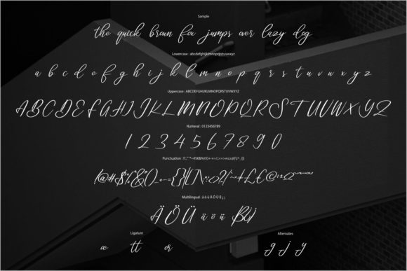 Thesorined Font Poster 6