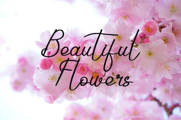 This Pink Font Poster 6