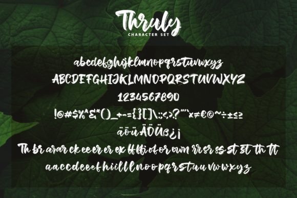 Thruly Font Poster 5