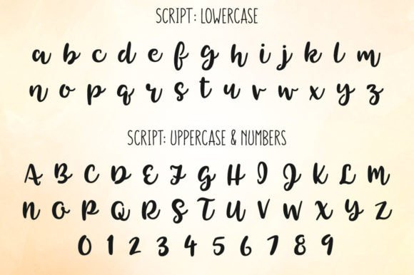 Tingler Duo Font Poster 3