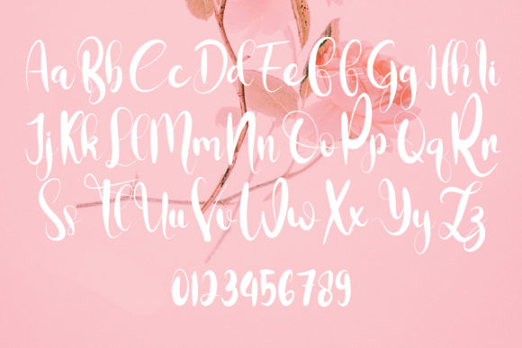To You Font Poster 4