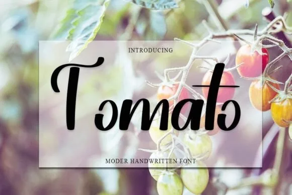 Tomato Font Tomato Font Poster 1