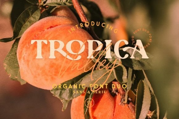 Tropica Gardens Font Poster 3