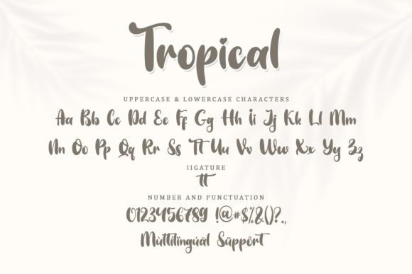 Tropical Font Poster 8