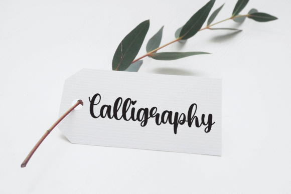 Tropical Font Poster 5