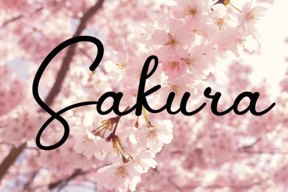 True Love Font Poster 5