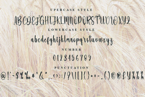 Unicorn Farmhouse Font Poster 5