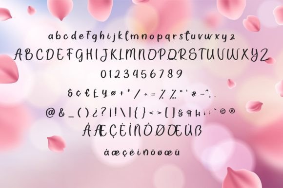 Valentine Font Poster 6