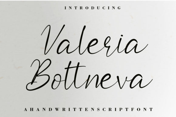 Valeria Boltneva Font Poster 1