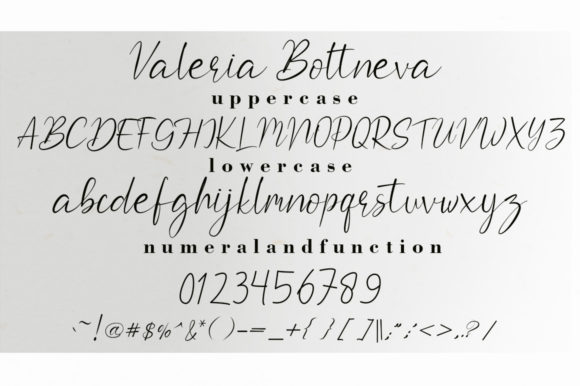 Valeria Boltneva Font Poster 5