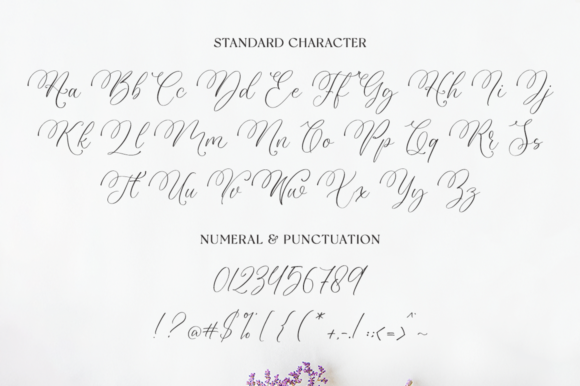 Vanelosia Font Poster 9