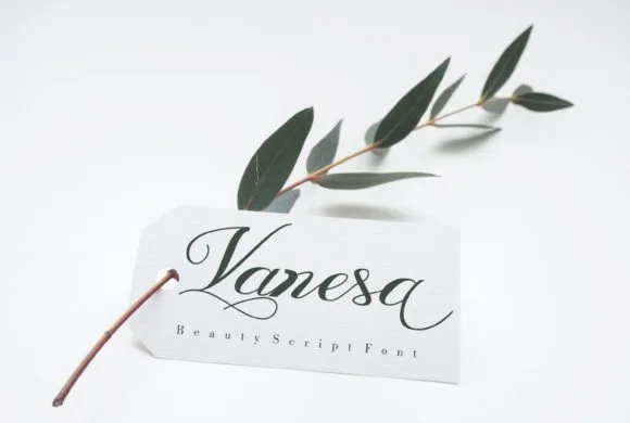 Vanesa Font Vanesa Font Poster 1