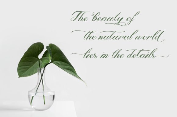 Vanesa Font Poster 2
