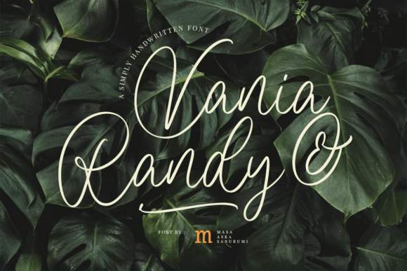 Vania and Randy Font Poster 1