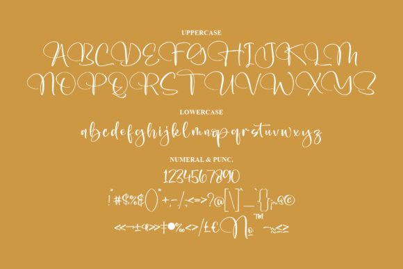 Vasstiane Cantika Font Poster 13