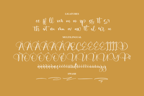 Vasstiane Cantika Font Poster 14