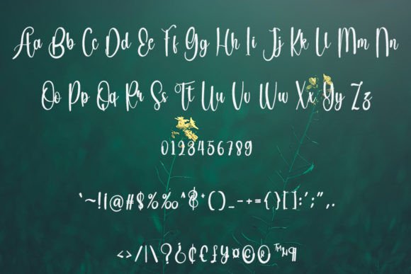 Vastain Font Poster 5
