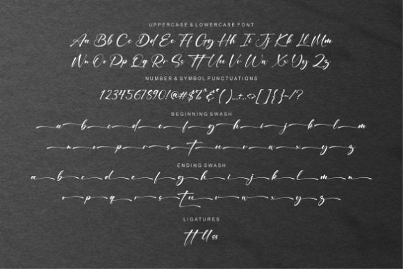 Vellaming Font Poster 8