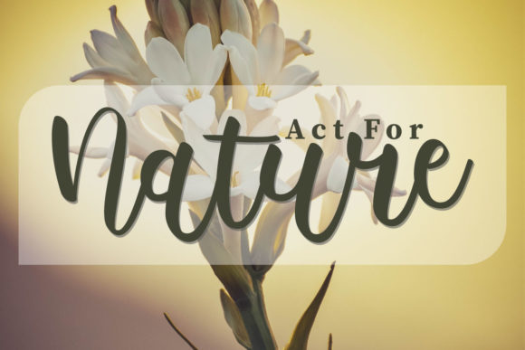 Victoria Font Poster 4