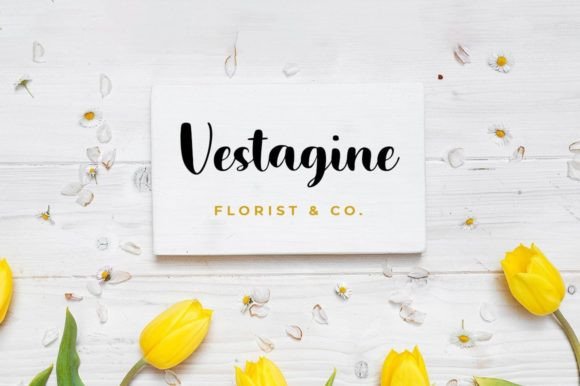 Vinetta Font Poster 2