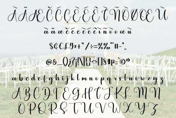 Vintage Font Poster 8