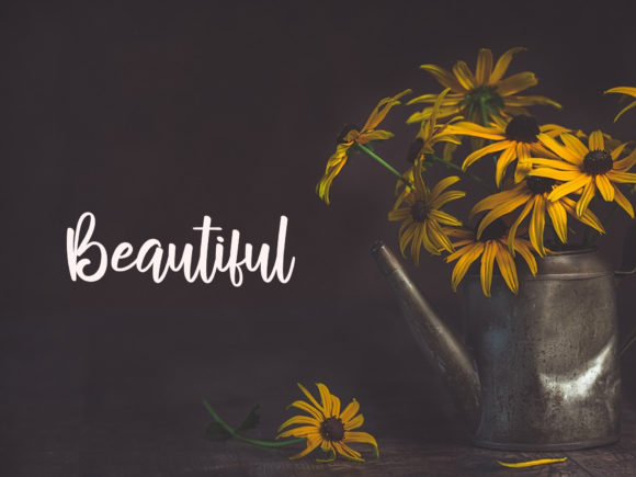 Vintage Handmade Font Poster 4