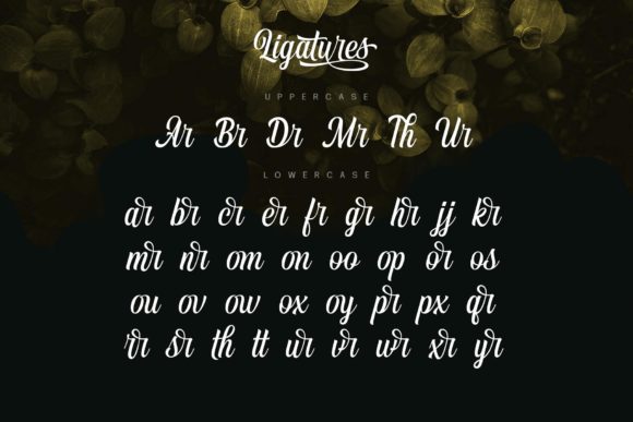 Vontgod Font Poster 14
