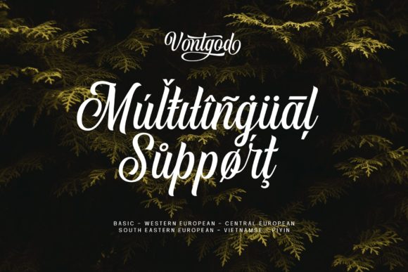 Vontgod Font Poster 16