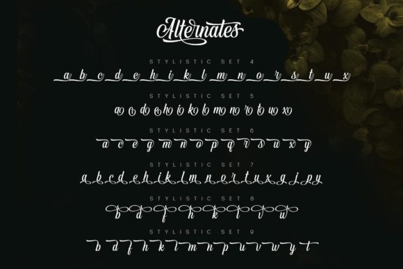 Vontgod Font Poster 8