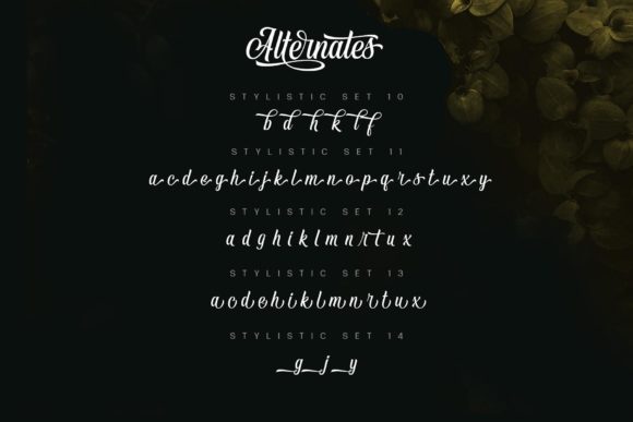 Vontgod Font Poster 9