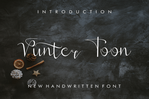 Vunter Toon Font Vunter Toon Font Poster 1