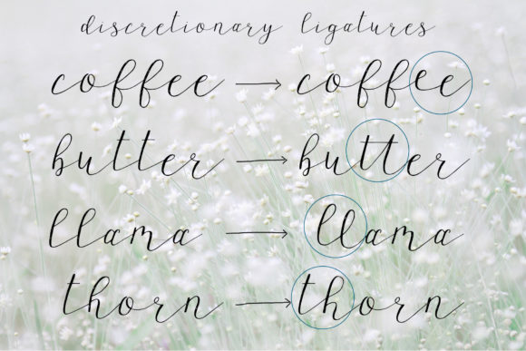 Wagonwheel Font Poster 7