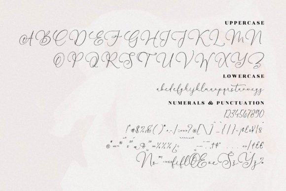 Waltson Beauty Font Poster 13