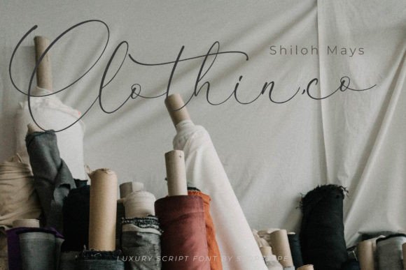 Waltson Beauty Font Poster 7