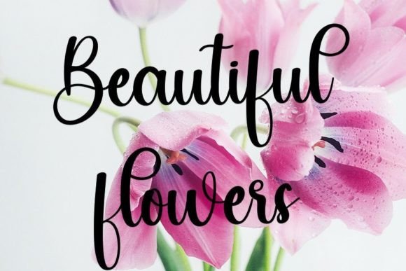 Wedding Font Poster 4
