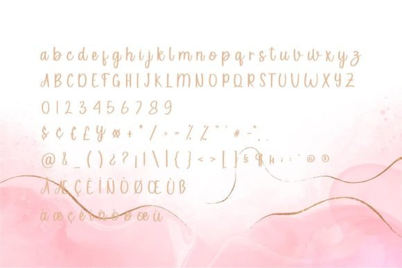 Wedding Dress Font Poster 6