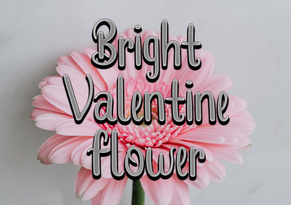 Wedding Flower Font Poster 4