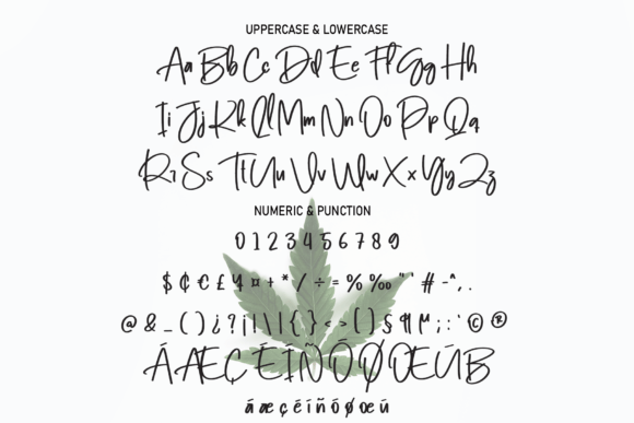 Weed Font Poster 7