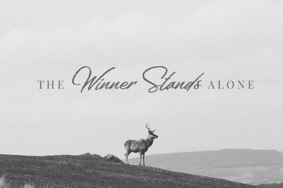 Welinedion Font Poster 3