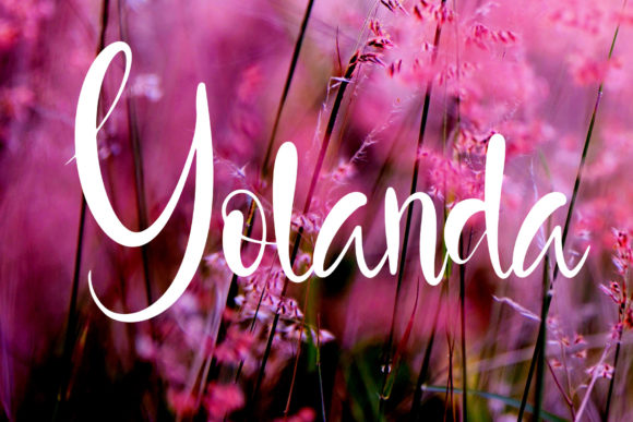 Well Girl Font Poster 2