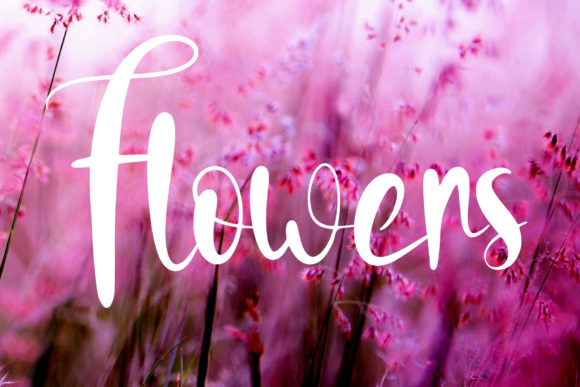 Well Girl Font Poster 3