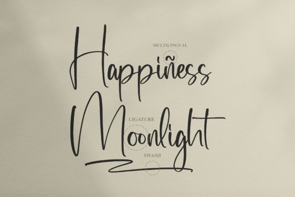 Wellymonte Font Poster 12