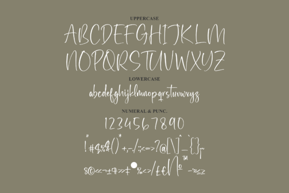 Wellymonte Font Poster 13